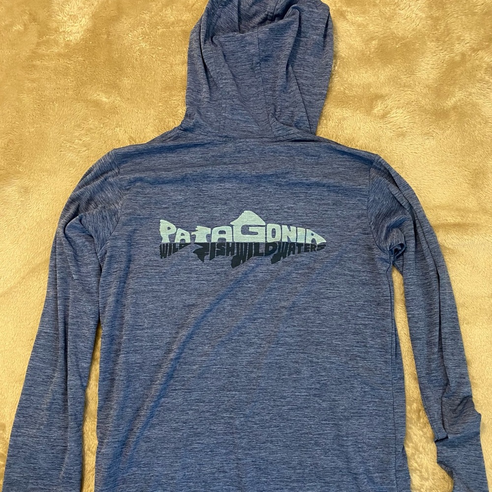 Patagonia Wild Fish Slim Hoodie